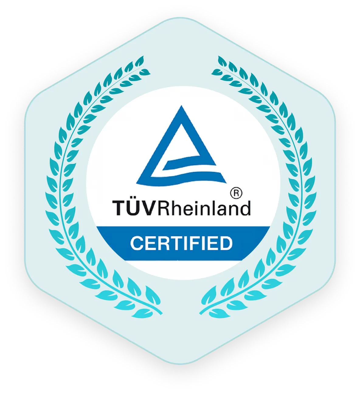 Certificate 5