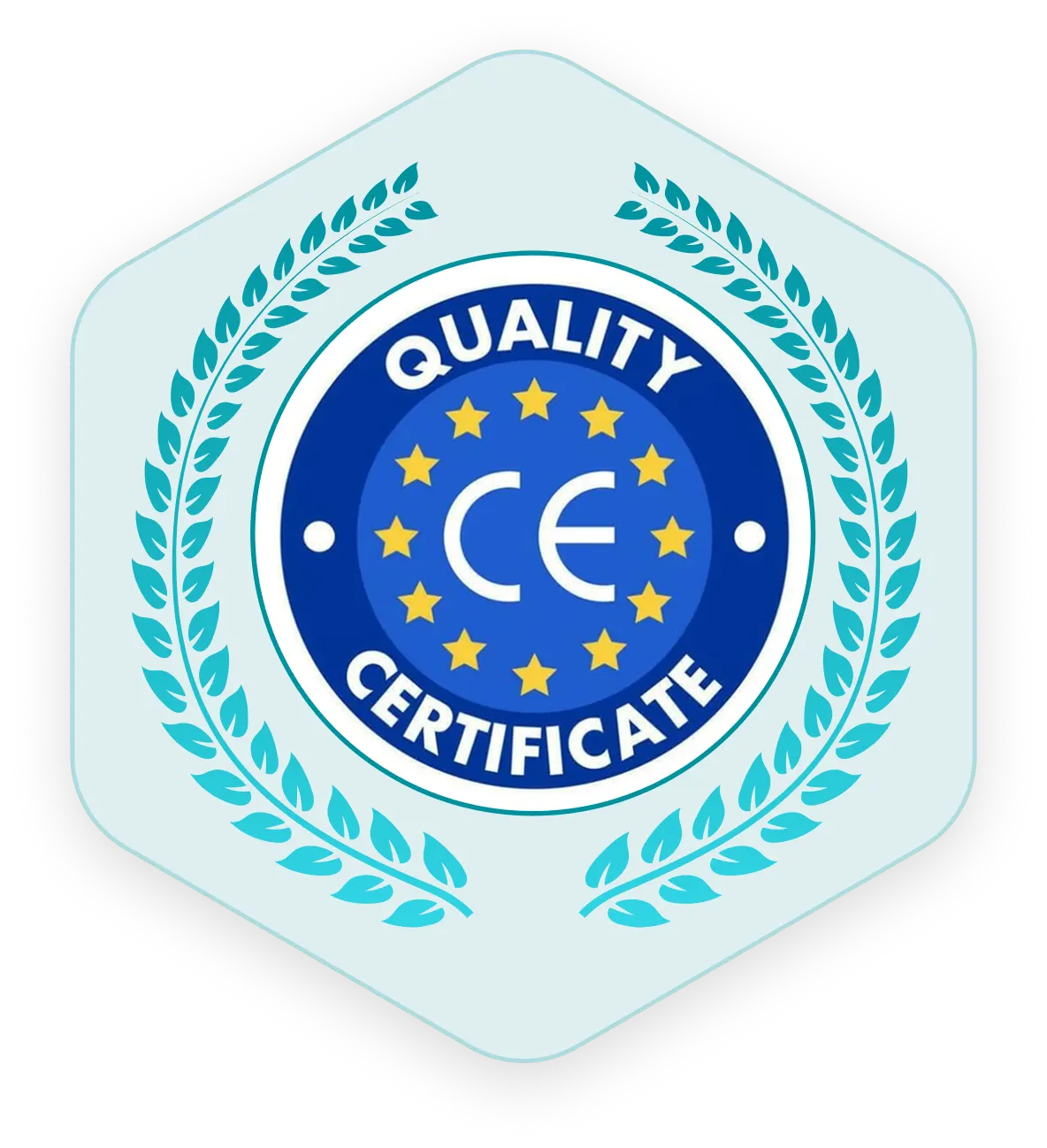 Certificate 2